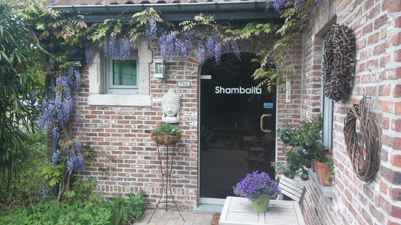 Shamballa B & B/ Logies Дейнзе Экстерьер фото